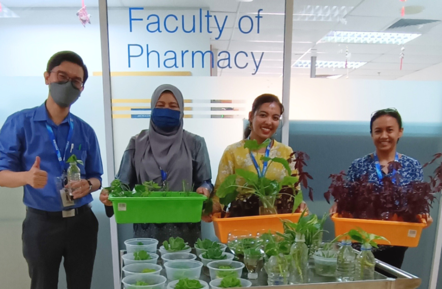 SEGi mampan: Merangkul tindakan iklim dengan tumbuhan!